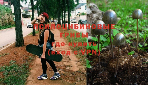 ГАЛЛЮЦИНОГЕННЫЕ ГРИБЫ Алексин