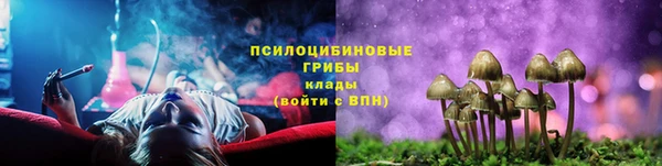ГАЛЛЮЦИНОГЕННЫЕ ГРИБЫ Алексин