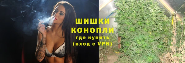 спайс Алзамай