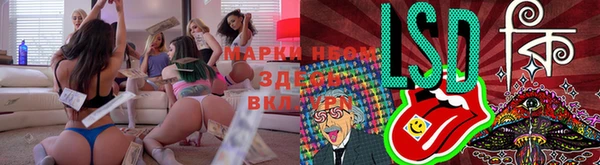 спайс Алзамай