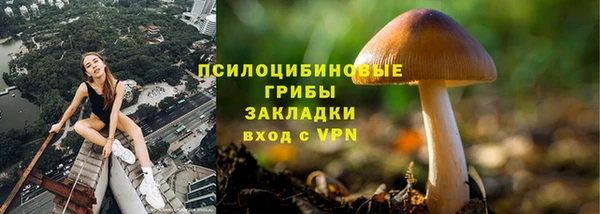 крисы Абдулино